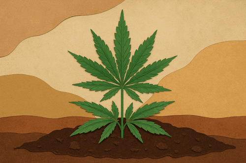 Inscripción en el Registro Nacional de Cultivares para el cáñamo ELEKTRA 24