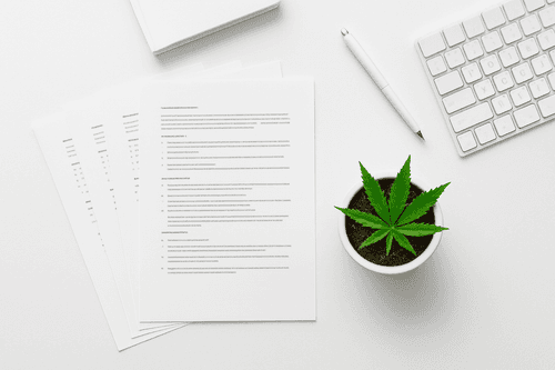 La regulación del autocultivo: clave para la soberanía alimentaria y el derecho a la salud