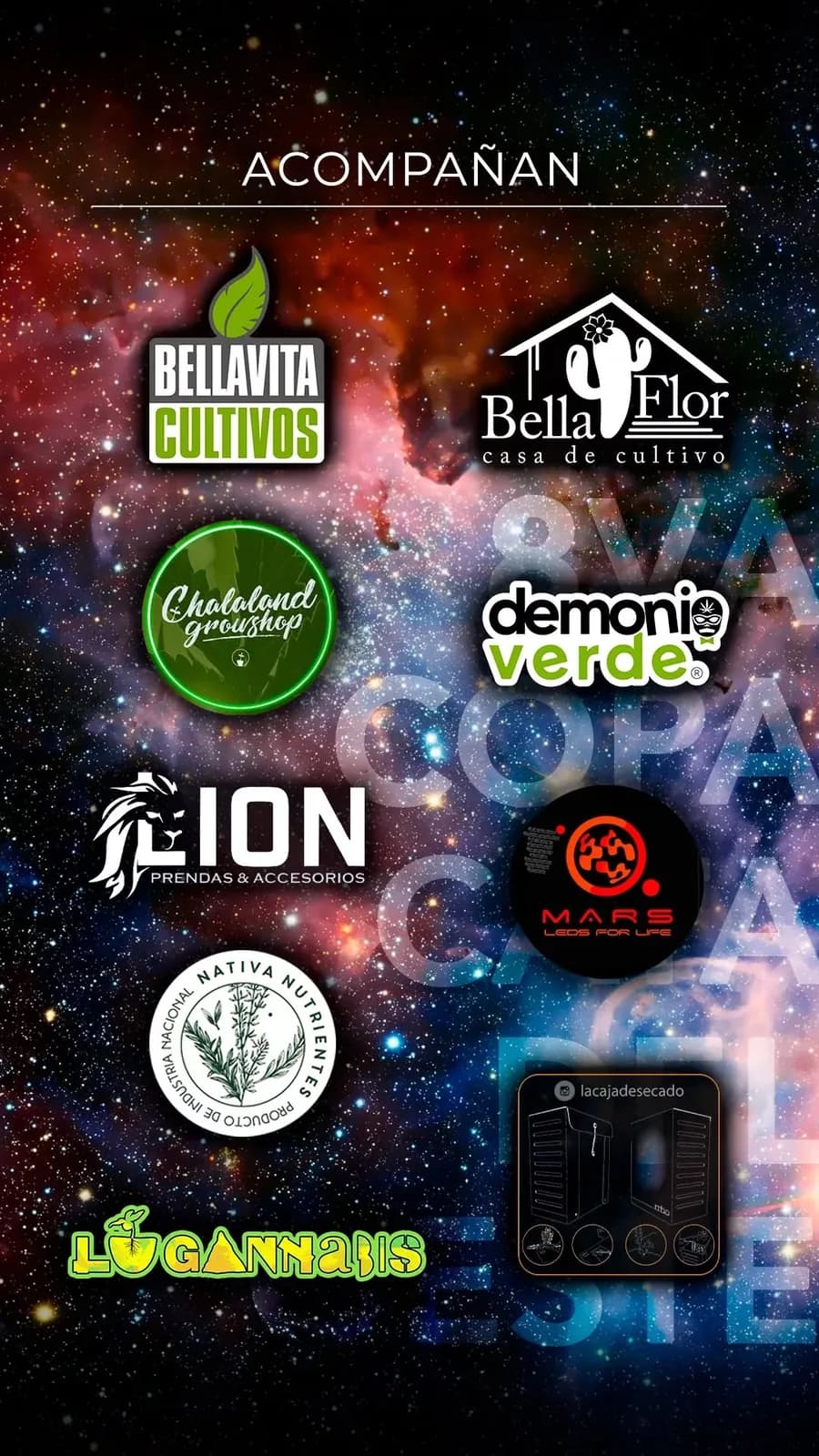 Placa de la 8va Copa con los logos de nueve marcas que la acompañaron, sobre fondo de galaxia.