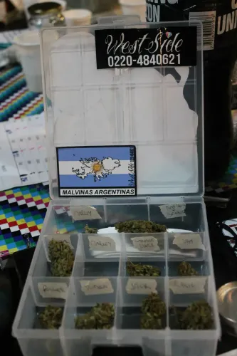Caja organizadora con flores separadas por variedad y etiquetas escritas a mano, Copa Cata del Oeste 2015