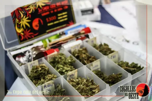 Caja con flores etiquetadas a mano por variedad y un volante de la Copa, Copa Cata del Oeste 2016
