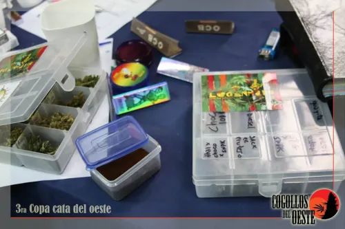 Cajas con flores etiquetadas por variedad, papelillos, picadores y un encendedor sobre el mantel, Copa Cata del Oeste 2016