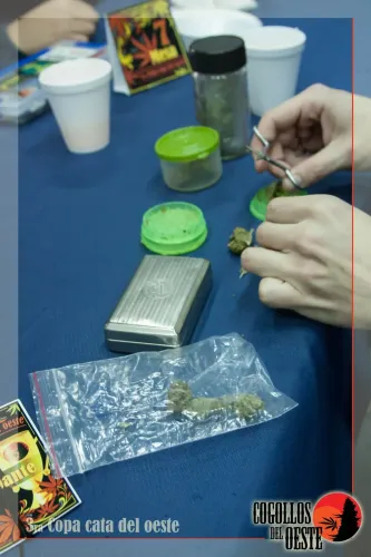 Manos recortando una flor con una tijerita, entre picadores, un frasco y una bolsita, Copa Cata del Oeste 2016