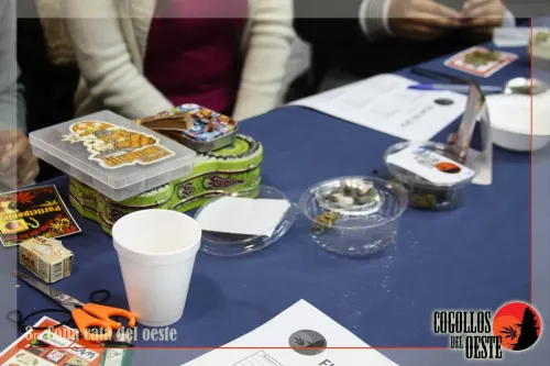 Mesa de cata con potes de muestras, papelillos, una tijera y fichas en blanco, Copa Cata del Oeste 2016