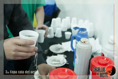 Vasos de telgopor, termos y saquitos de té sobre una mesa, Copa Cata del Oeste 2016