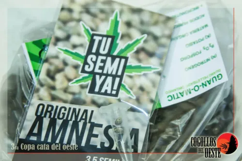 Sobre de semillas de un banco y bolsa de fertilizante orgánico, vistos de cerca, Copa Cata del Oeste 2016