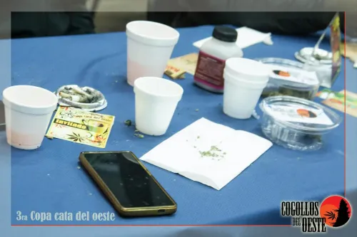 Mesa de cata con vasos, un cenicero con colillas, potes de muestras y un teléfono, Copa Cata del Oeste 2016