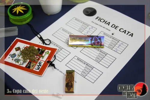 Ficha de cata con puntajes anotados, papelillos, filtros y flor picada sobre una credencial, Copa Cata del Oeste 2016
