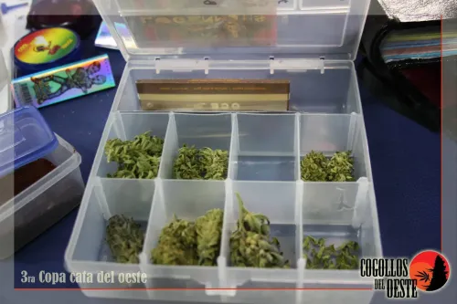 Caja abierta con flores en compartimentos y papelillos guardados en la tapa, Copa Cata del Oeste 2016