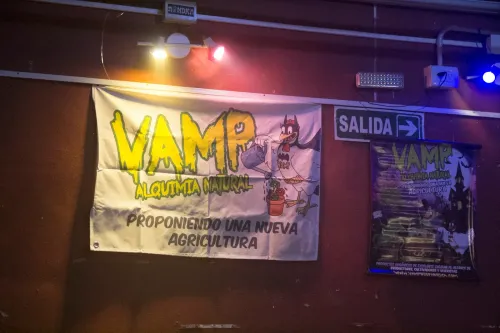 Bandera y póster ilustrados de una marca de sustratos junto al cartel de salida, Copa Cata del Oeste 2019
