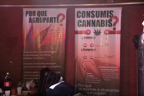 Dos banners informativos sobre agruparse y consumir cannabis, en la pared del salón, Copa Cata del Oeste 2019