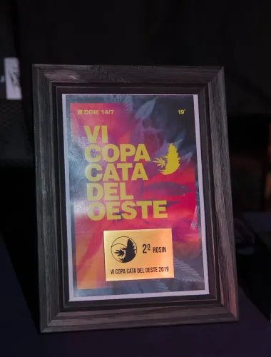 Diploma enmarcado del segundo puesto en rosin, con el afiche de la Copa, Copa Cata del Oeste 2019