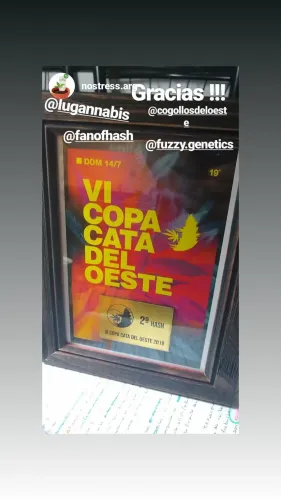 Diploma enmarcado del segundo puesto en hash, con el afiche de la Copa, Copa Cata del Oeste 2019