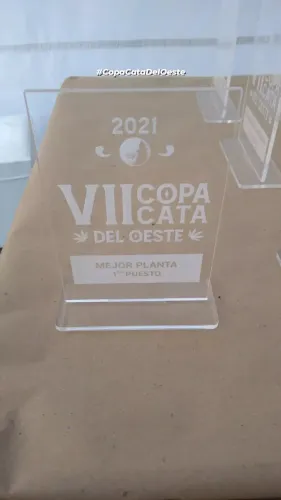 Trofeo de acrílico grabado para el primer puesto de mejor planta, sobre una mesa, Copa Cata del Oeste 2021