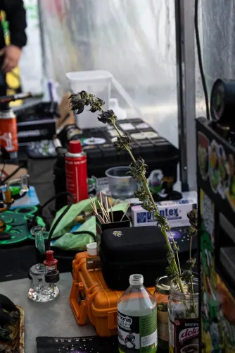 Stand con una rama seca con cogollos, sopletes, piezas de vidrio y una valija naranja, Copa Cata del Oeste 2022