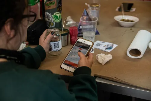 Una persona de espaldas califica una muestra en el celular sobre la mesa del jurado, Copa Cata del Oeste 2022
